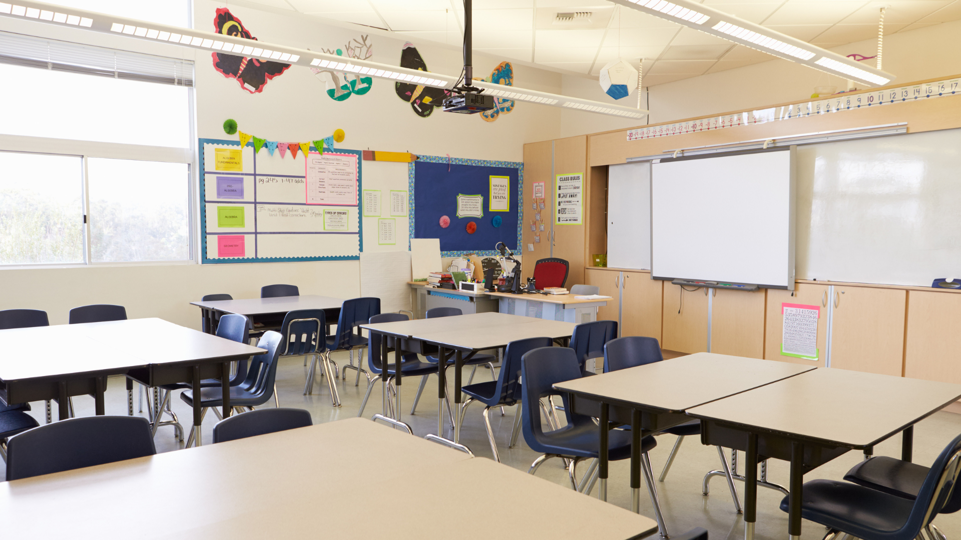 Back to School. What Happens When You Find Mold?
