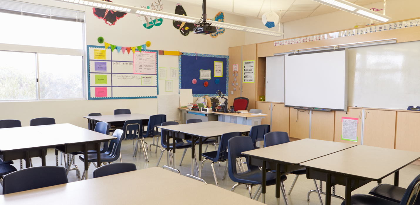 Back to School. What Happens When You Find Mold?