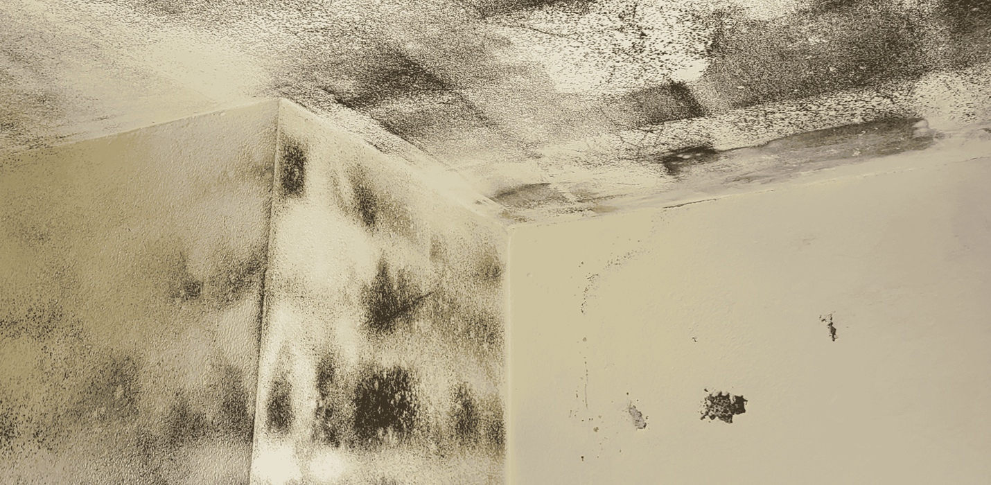 How Polygon restored a water-damaged holiday home in Kerry