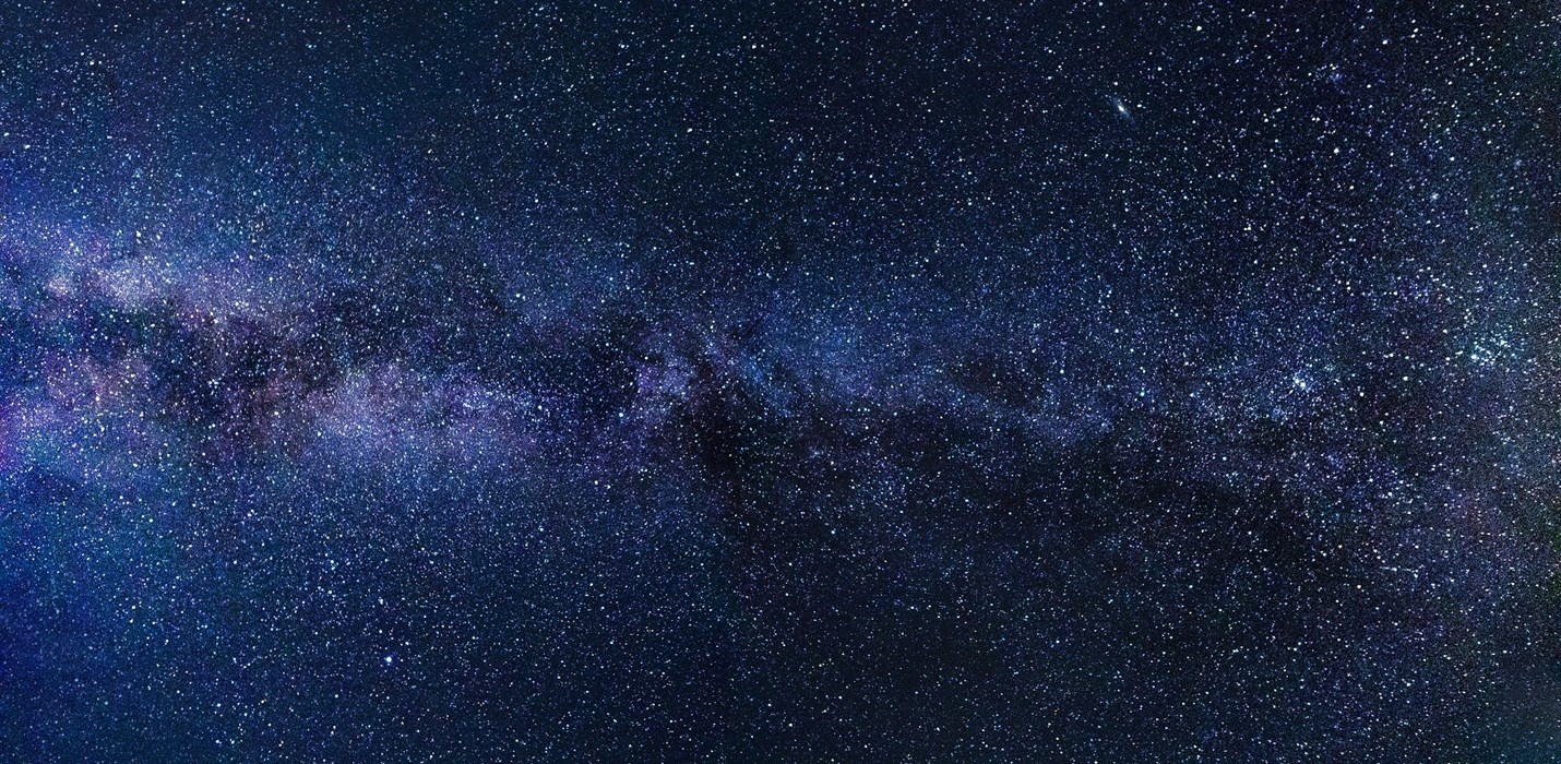 As Far as the Eye Can See - Harvard's Priceless Collection