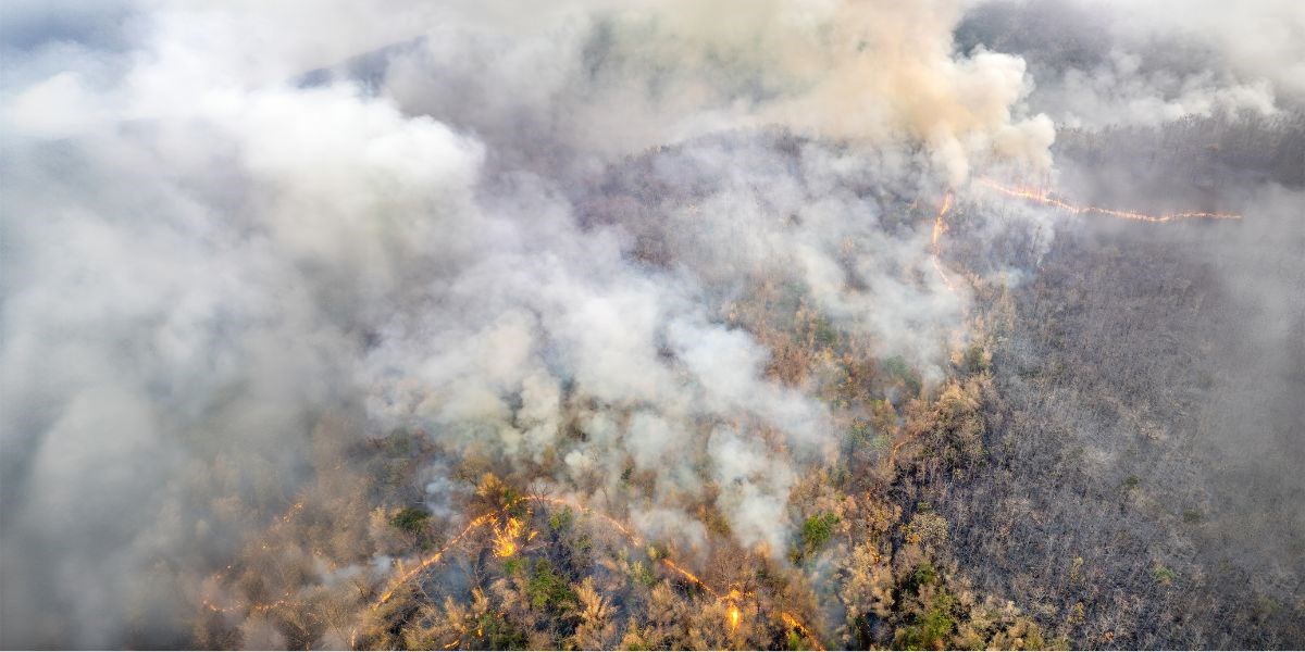 "L'Italia in fumo" - Il report 2025 di Legambiente