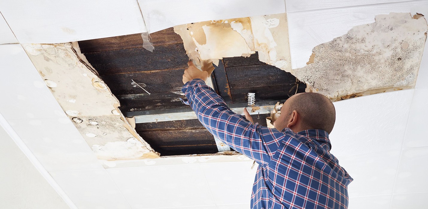 Schimmelpilz nach dem Wasserschaden: Warum Abwarten keine Option ist