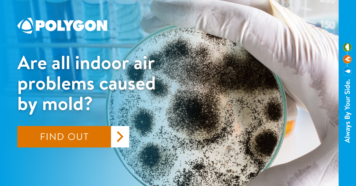 Are all indoor air problems caused by mold? Polygon Group