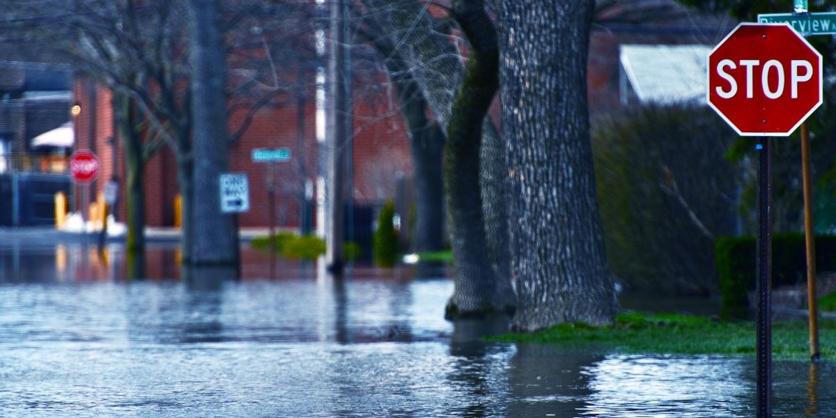 Obbligazioni catastrofali: cosa sono