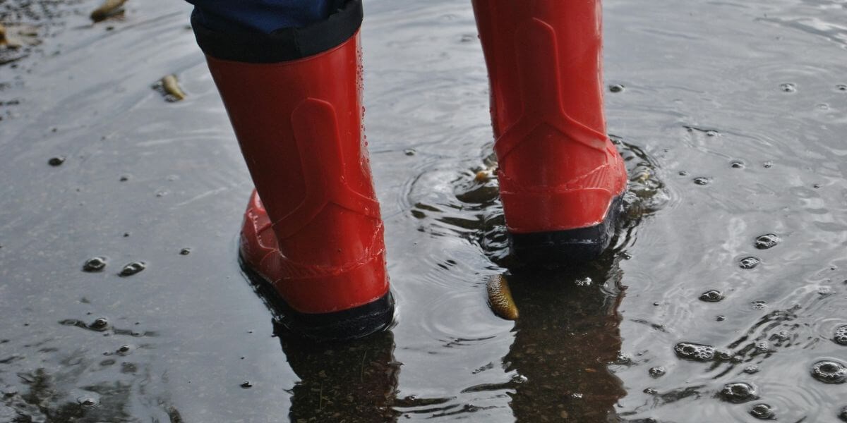 Polizze CAT NAT: aggiornamenti di maggio 2025