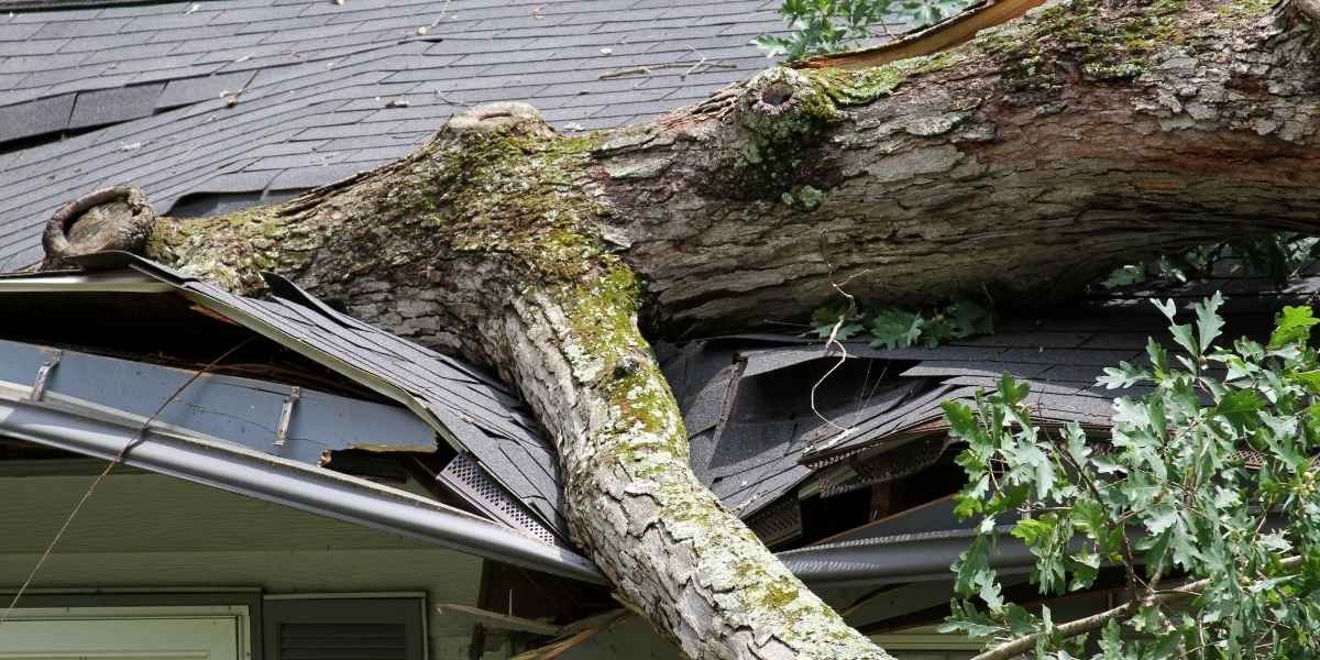 Settimana 7/2026: maltempo in Sud Italia