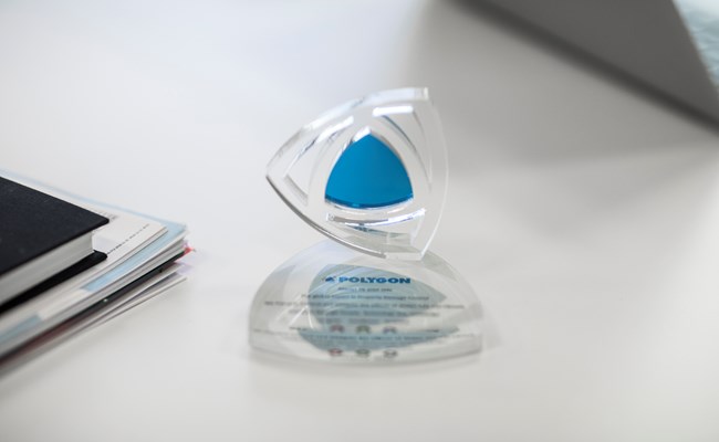 Polygon - selskabsledelse