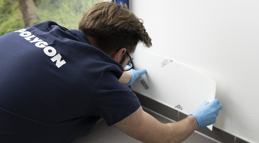 Schimmelpilzbekämpfung: Innovatives Jati Pad bewahrt Fluchtwege