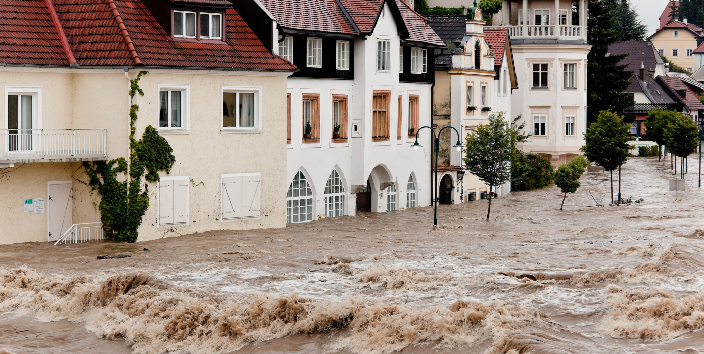 Assainissement après un dégât des eaux