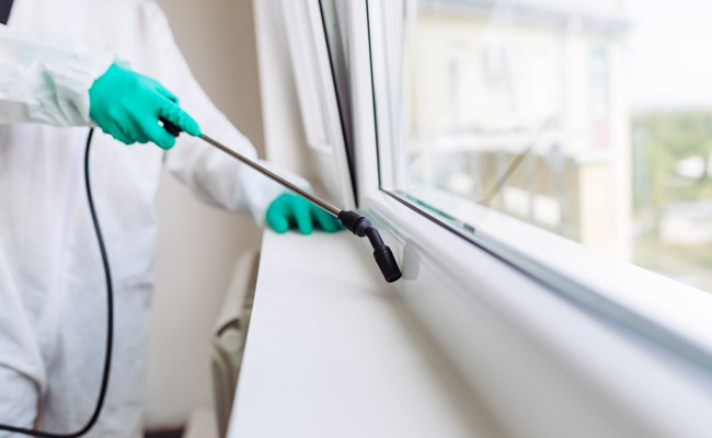 Eine Fensterbank wird mittels Sprühverfahren desinfiziert.