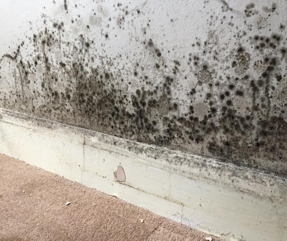 What is Awaab's Law?