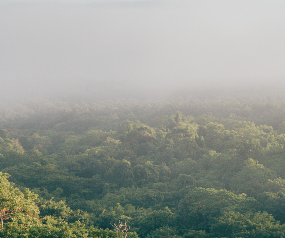 Helping the Damage Management Industry Tackle Sustainability 