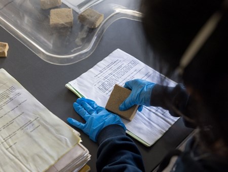 Collections Transfer & Quarantine, University of Leeds 