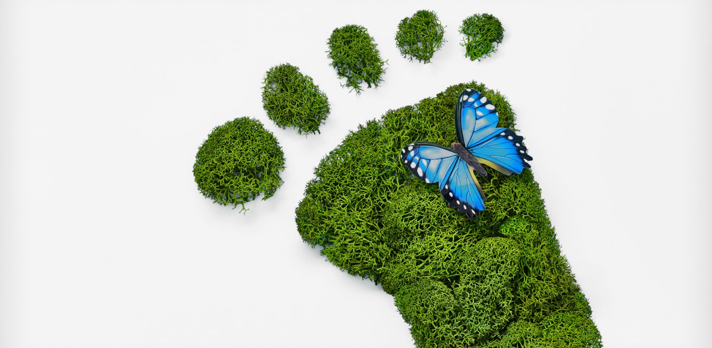 Polygon's near-term emissions target approved by Science Based Targets initiative