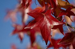 Fire Safety in the Fall & Winter Months