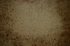 Experience recent water damage? If so, mold may be lurking