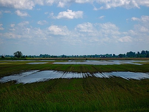 Midwestern flooding begins early