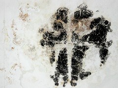 After Water Damage Comes Mold Damaged Records