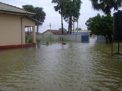 Document Restoration and the Increase of Natural Disasters