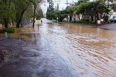 Top Causes of Flood Damaged Documents