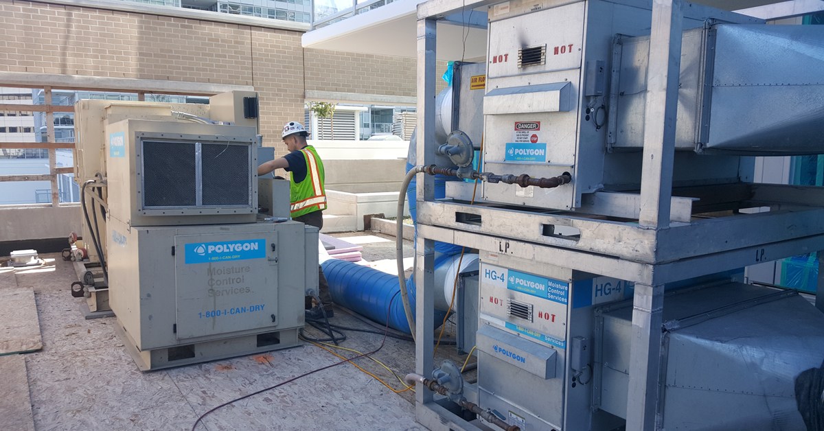 Not All Dehumidification Providers are the Same - Polygon Group