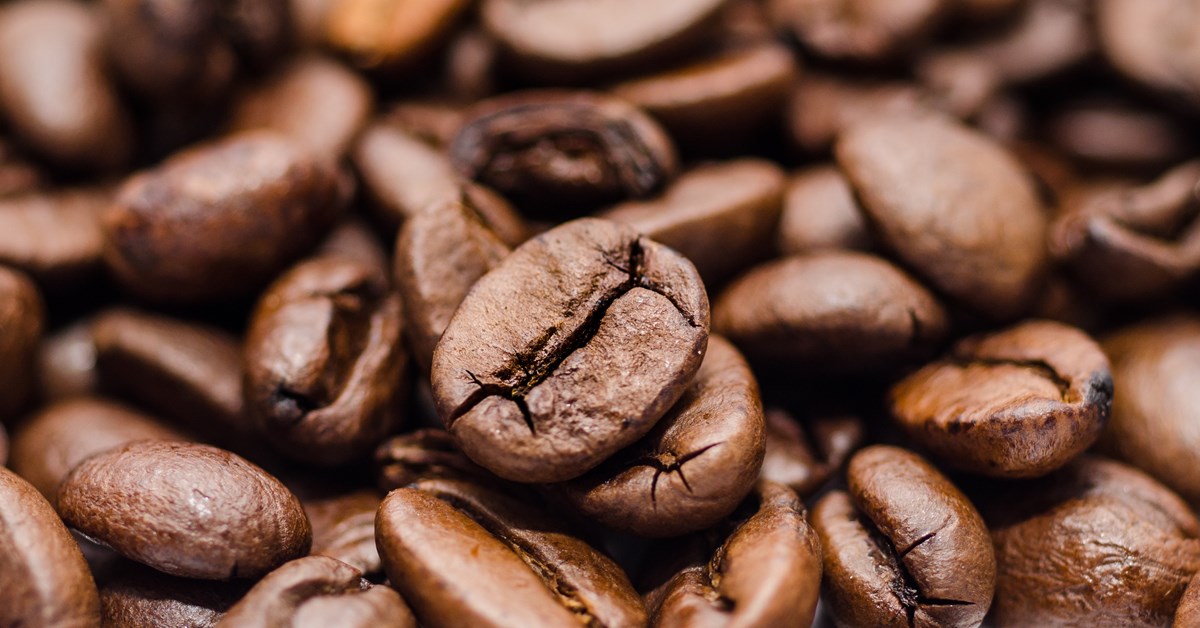 The Importance of Humidity Control in Coffee Storage Facilities