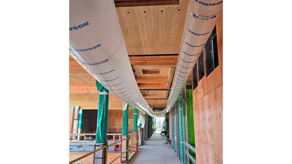 water-mitigation-mass-timber-2.jpg