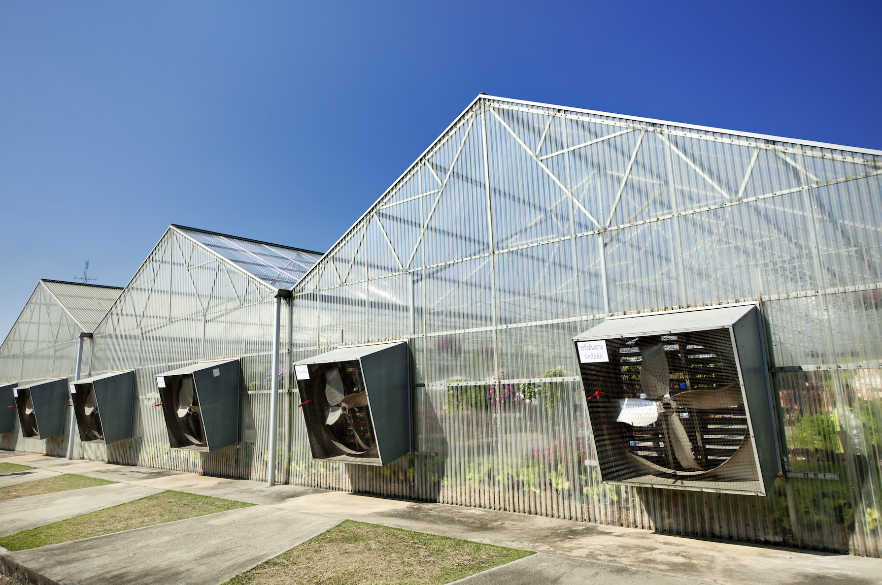 Controlling Humidity and Climate in Greenhouses Polygon Group