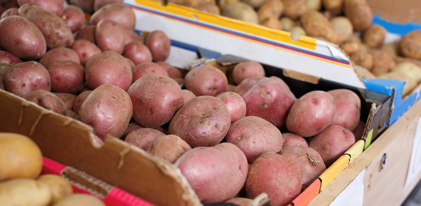 Climate Control for Storage of Harvested Produce