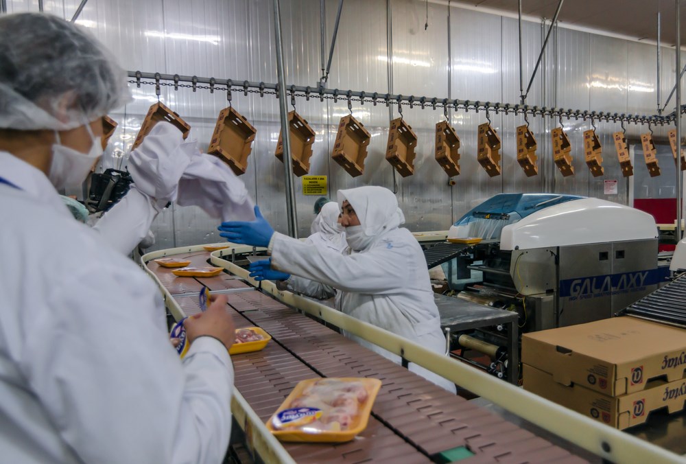 Infographic: Keeping Food Safe from Farm to Fork