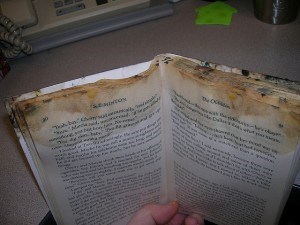 Mold Damaged Records: Bringing Them Back to Life