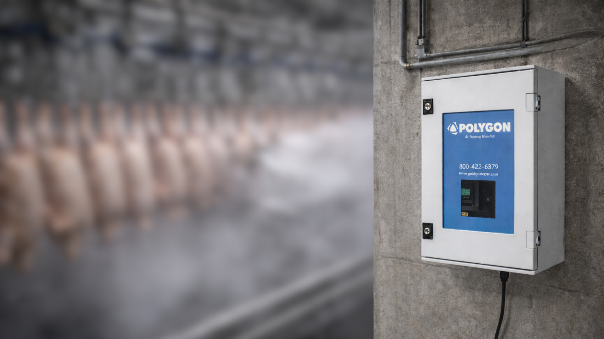 Peracetic Acid (PAA) and Toxic Gas Risk in Food Processing 