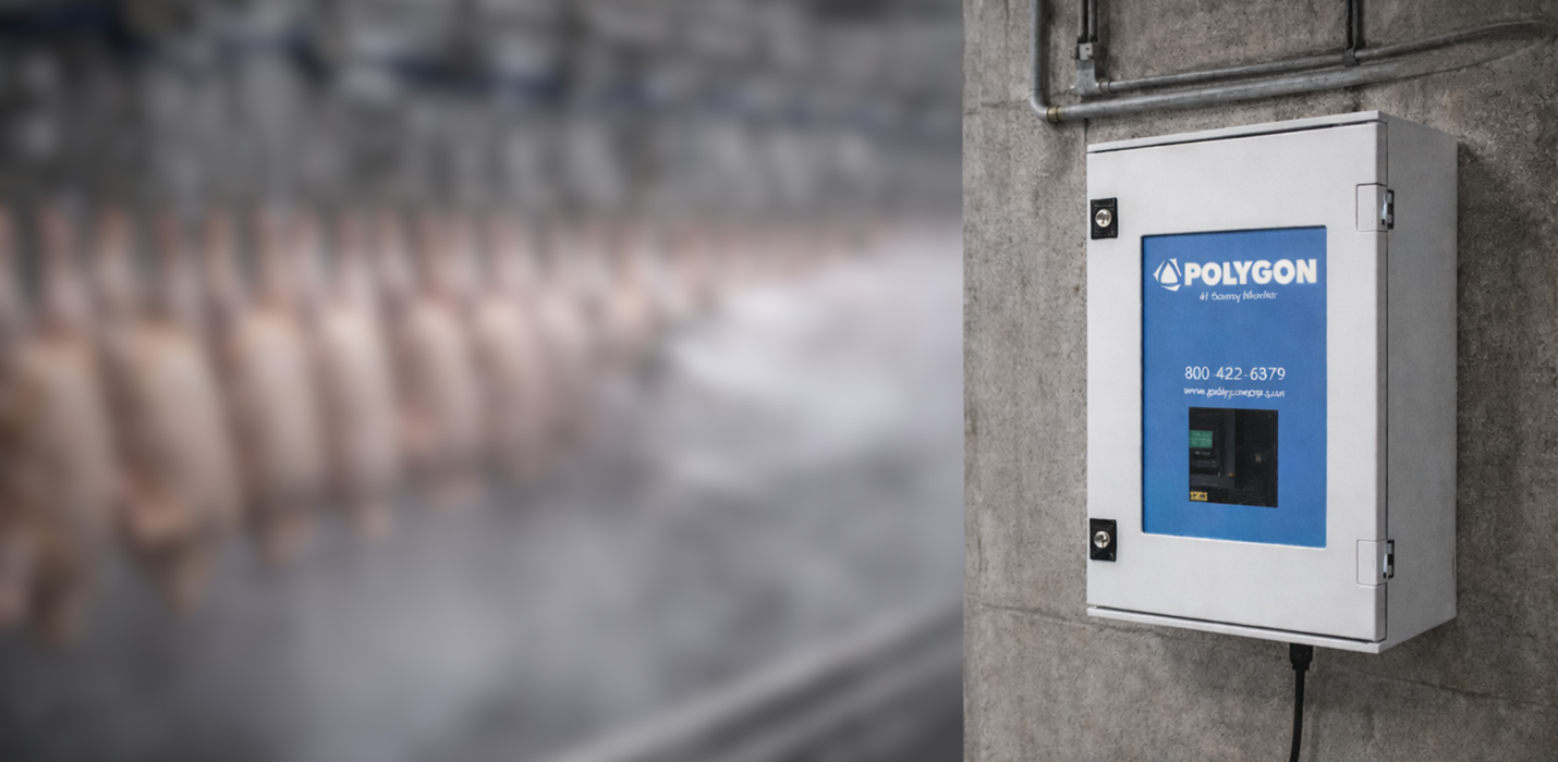 Peracetic Acid (PAA) and Toxic Gas Risk in Food Processing 