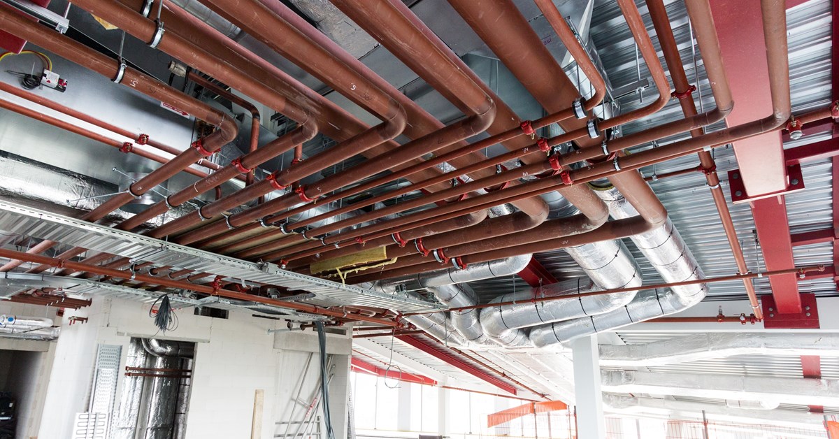 Your Summer Air Conditioner May Cause Mold on Your Documents Polygon