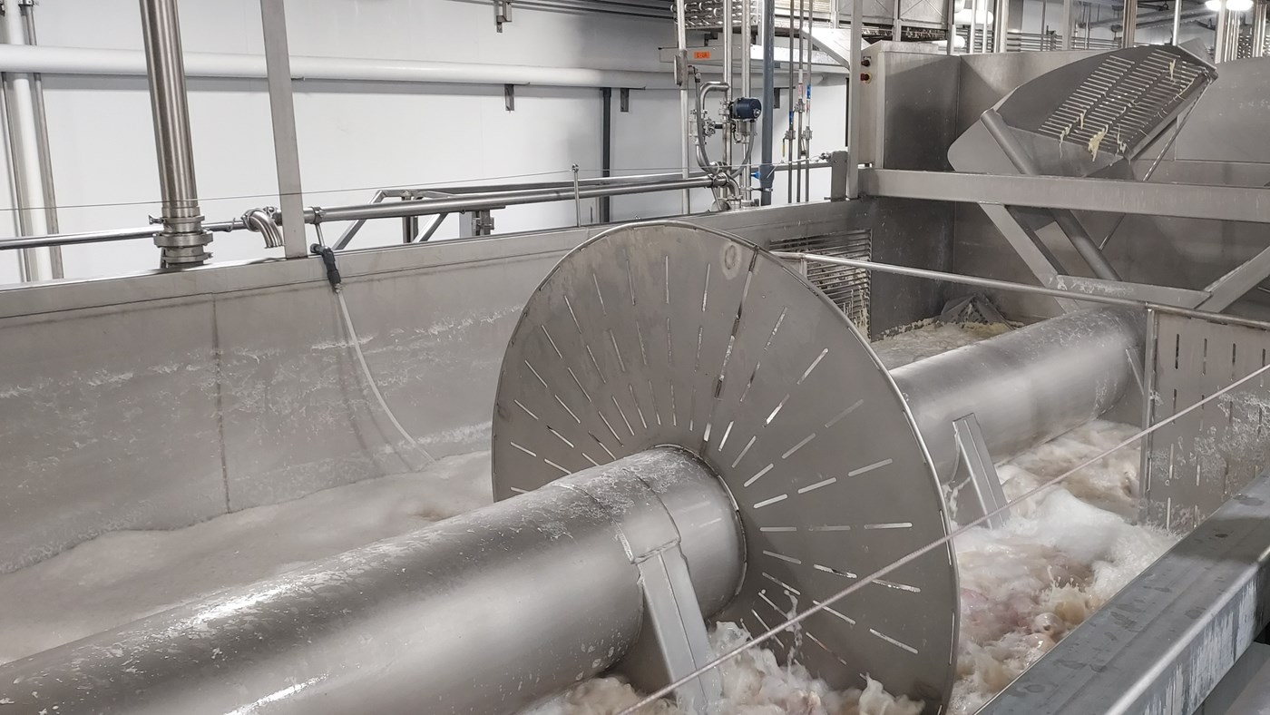 Surveillance et Assainissement des Gaz Toxiques