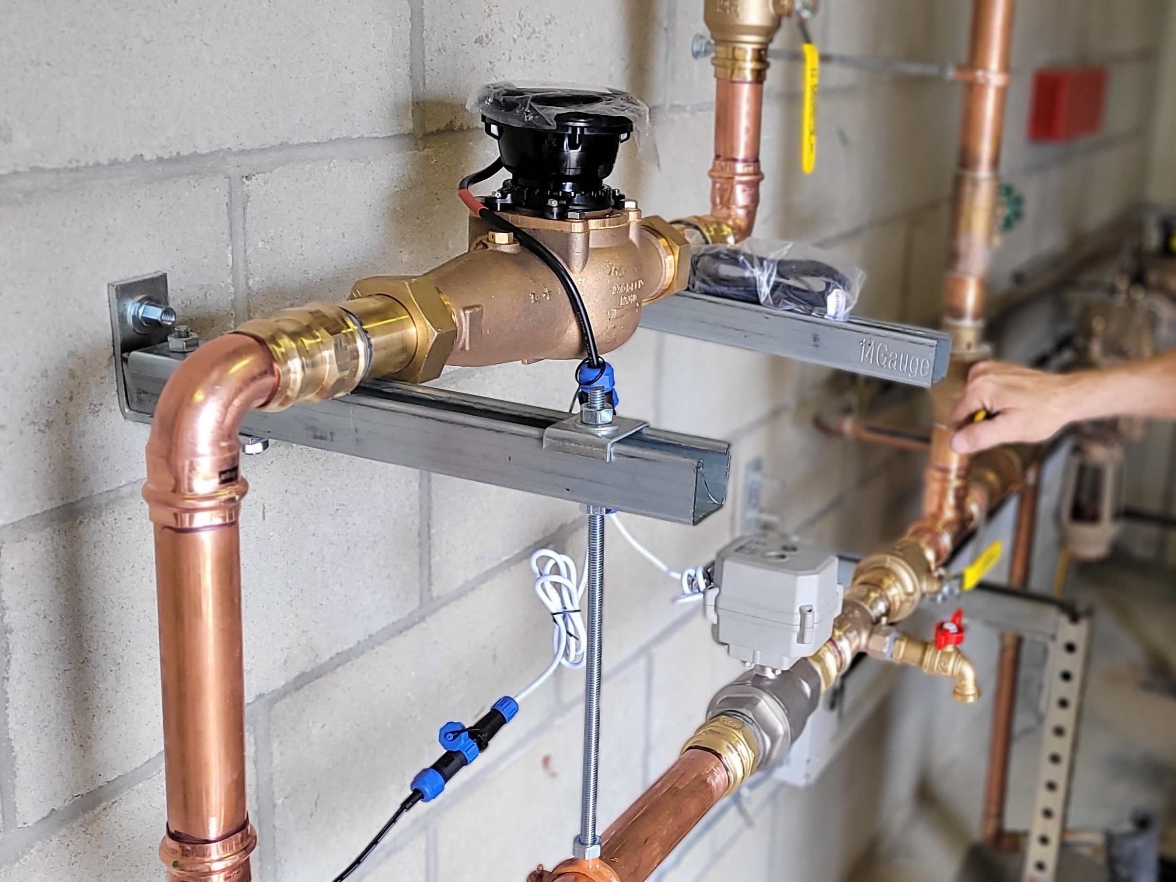 WINT AND POLYGON HQ 20240405_114013 - Crop.jpg