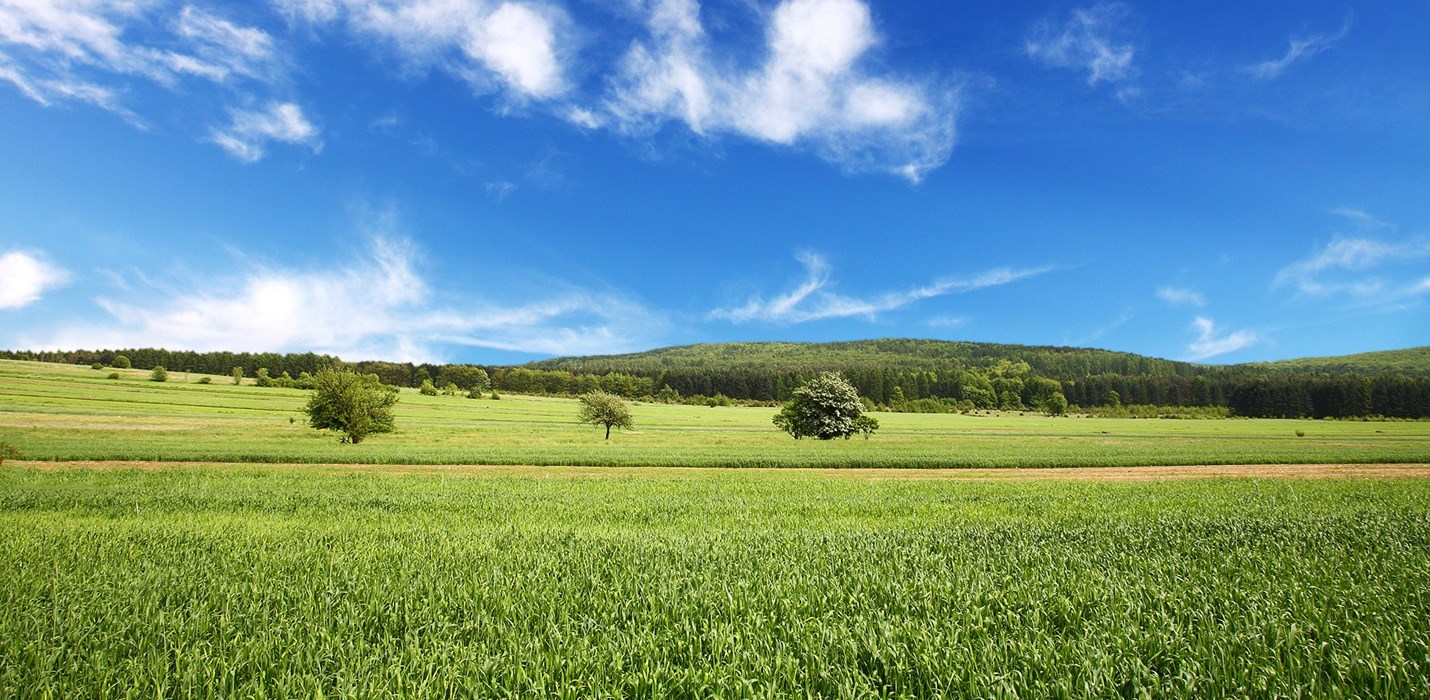 POLYGON DEMONSTRATES COMMITMENT TO ENVIRONMENT WITH ISO 14001:2015 COMPLIANCE