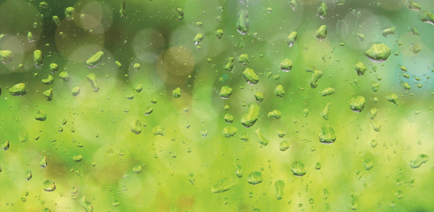 Dealing with condensation and mould – Polygon’s top tips for an optimal indoor climate