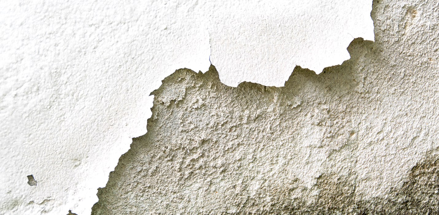 Philadelphia columnist experiences mold damage