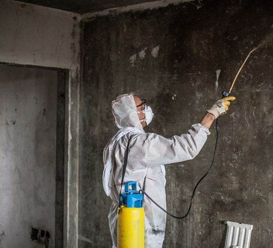 Polygon expert reinigt brandschade