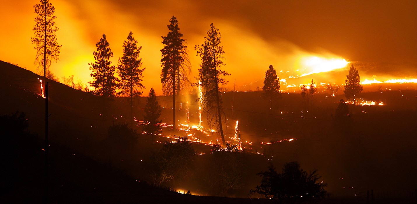 California Wildfires