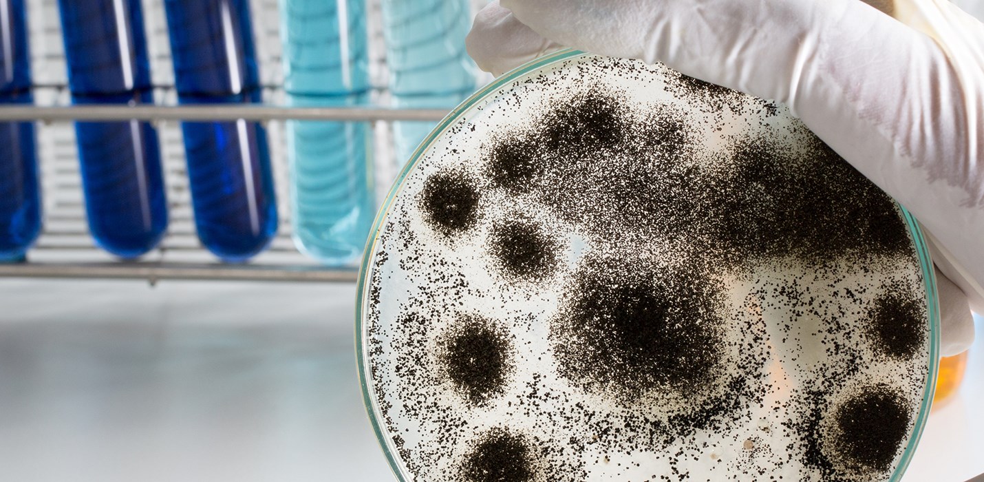 Polygon sponsors UCL