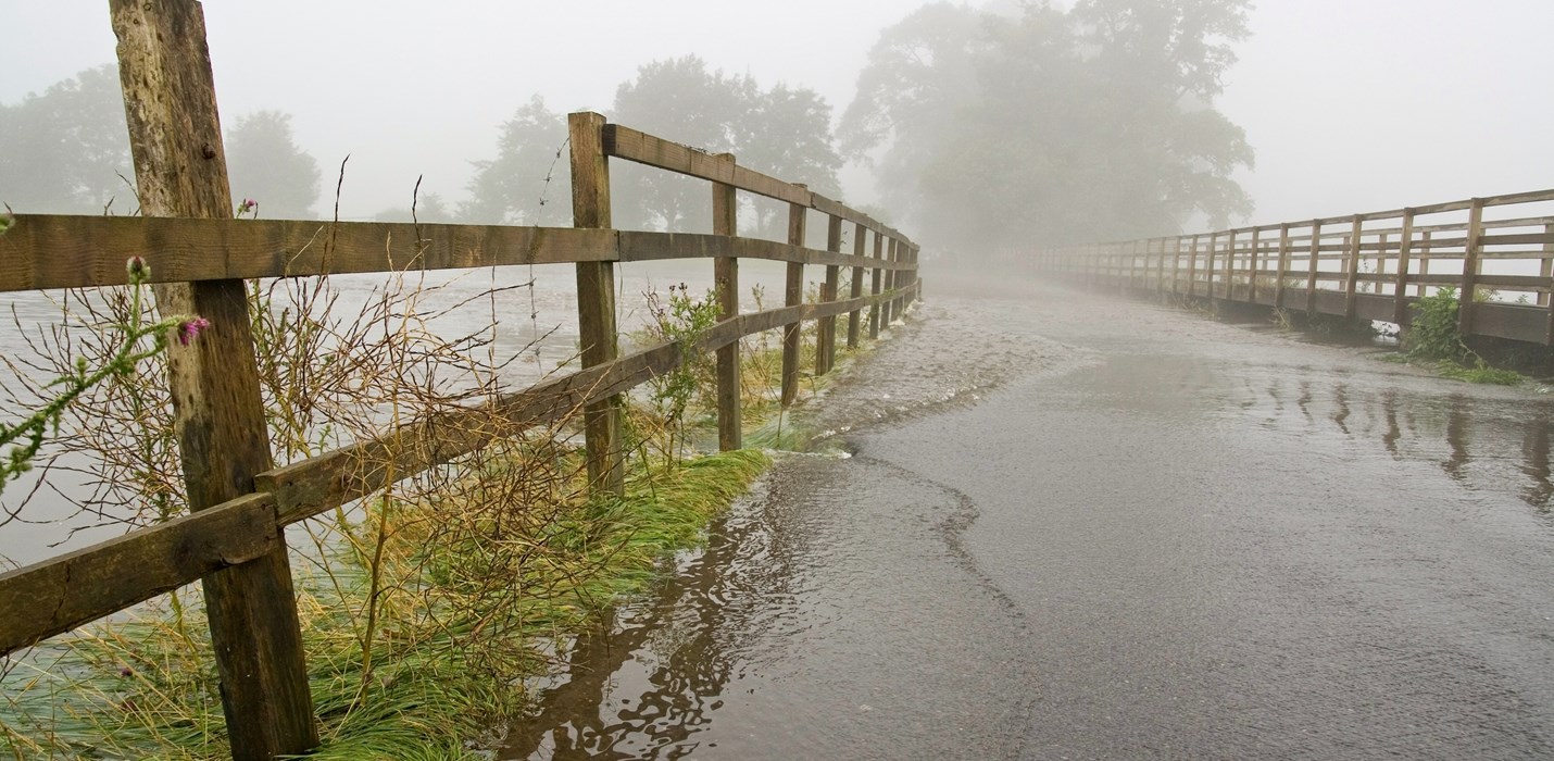 Clearing up after Desmond, Eva and Frank