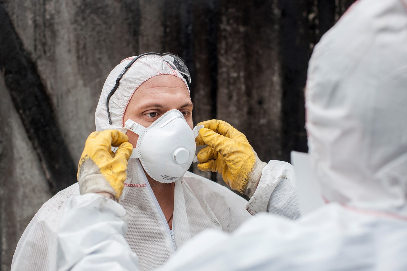 Polygon acquires BMS Global Sinistres in France