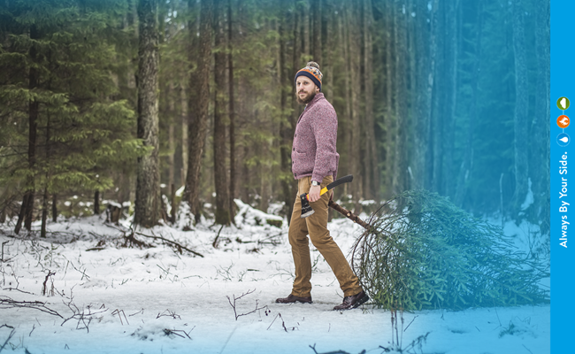 Kom ook naar Polygons Kerstbomenmarkt!