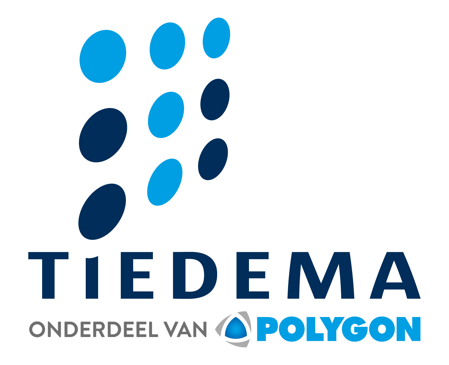Tiedema logo - Polygon
