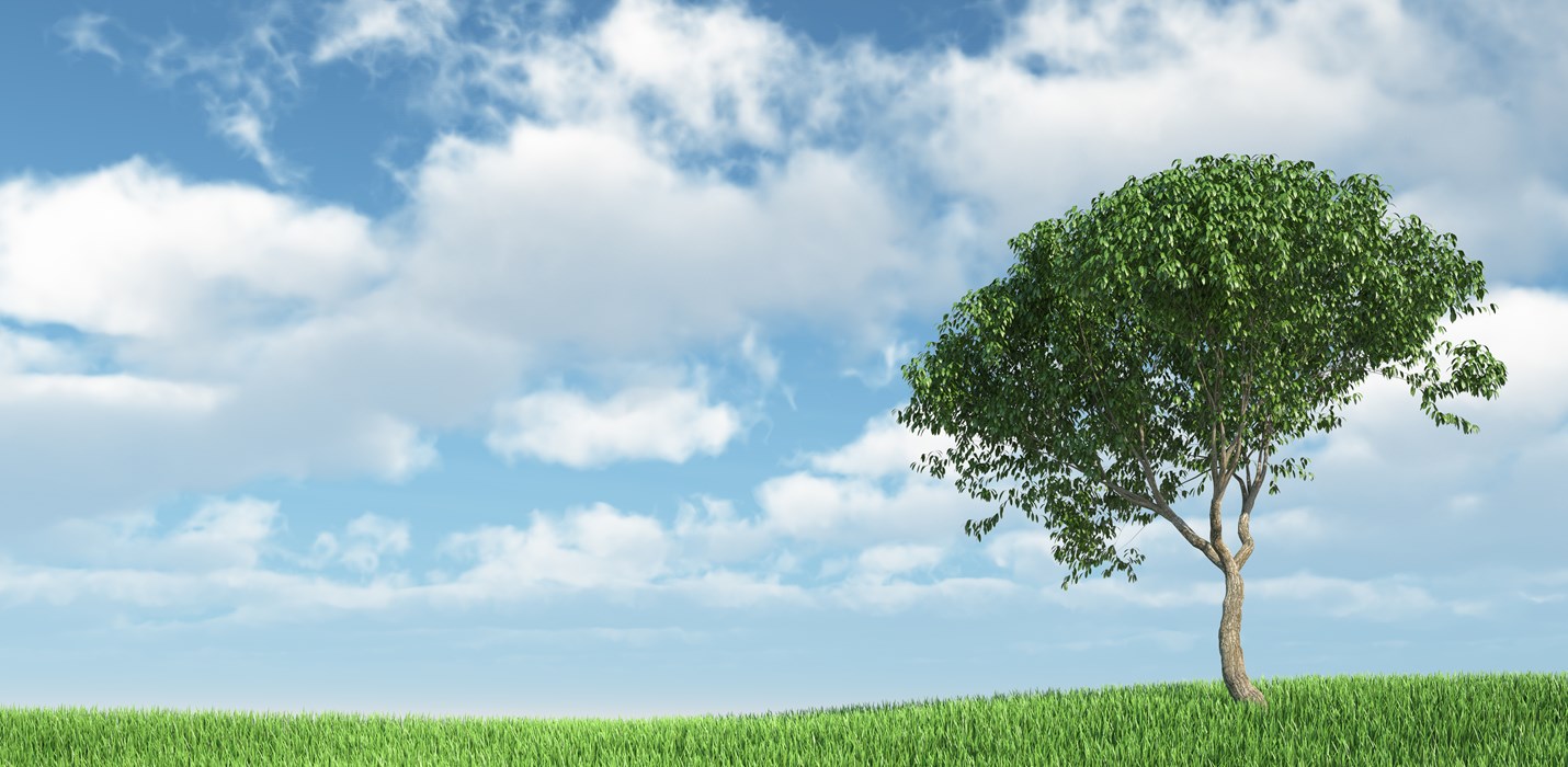 Polygon krijgt keurmerk Duurzaam Herstel