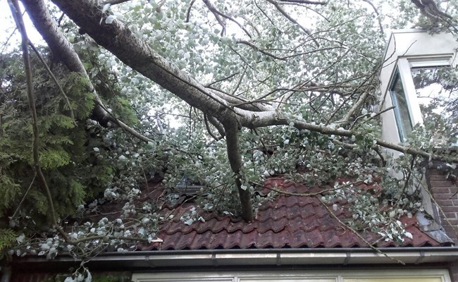 Polygon stat 24/7 klaar om stormschade te herstellen