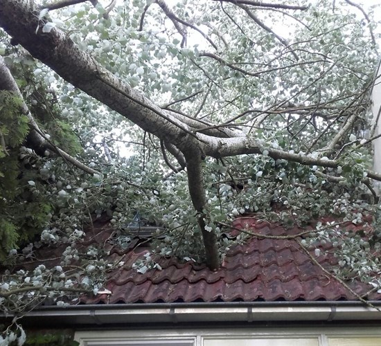 Polygon stat 24/7 klaar om stormschade te herstellen