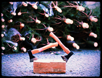 Kom ook naar Polygon's Groene Kerstfeest